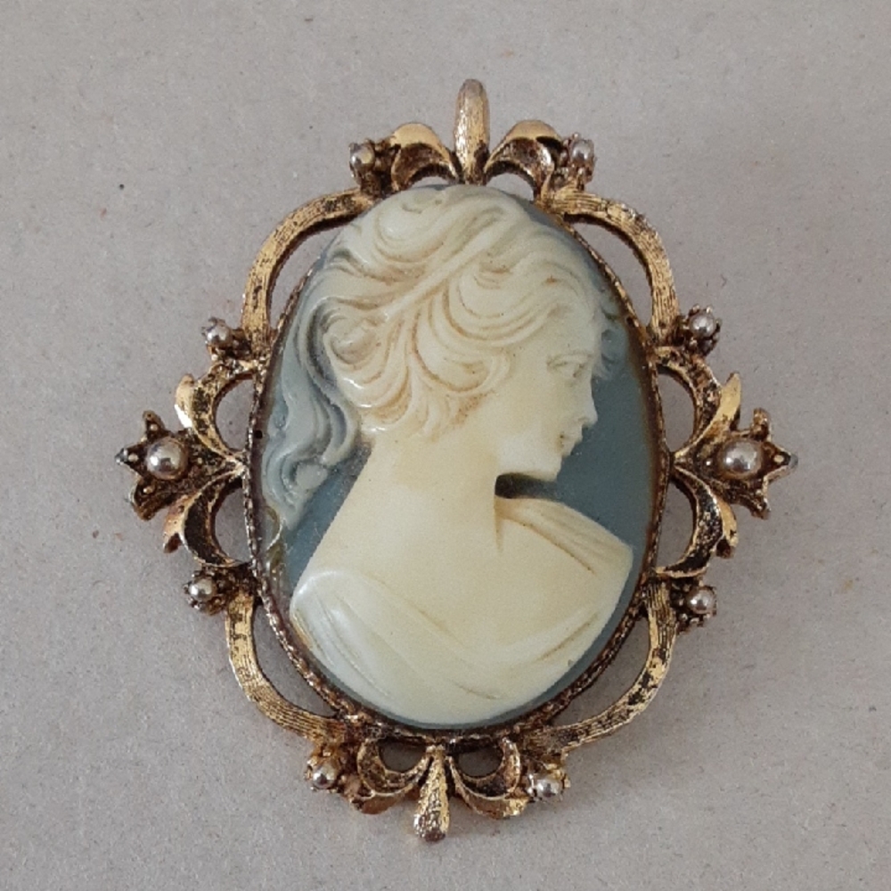 Vintage Cameo Brooch  in Cream and Blue